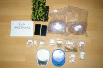 Διδυμότειχο: Συλλήψεις δύο ατόμων για καλλιέργειες κάνναβης