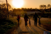 Το τραγούδι της εβδομάδας