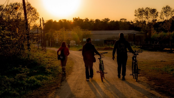 Το τραγούδι της εβδομάδας