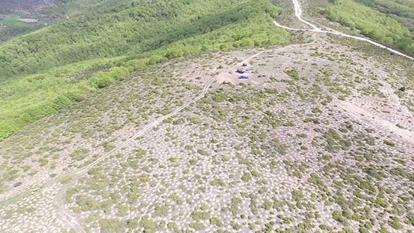 Αναδάσωση από τον Διαδριατικό Αγωγό στη Β. Ελλάδα, με 400.000 δένδρα και θάμνους