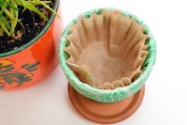 Πώς μπορεί να βοηθήσει ένα φίλτρο καφέ τα φυτά σας