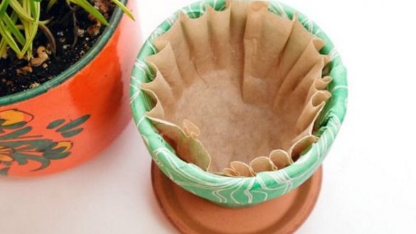 Πώς μπορεί να βοηθήσει ένα φίλτρο καφέ τα φυτά σας