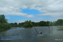 Το τραγούδι της εβδομάδας