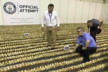 Επίσημα η Νέα Βύσσα στο βιβλίο των Ρεκόρ Γκίνες για τη μεγαλύτερη πλεξούδα σκόρδων!