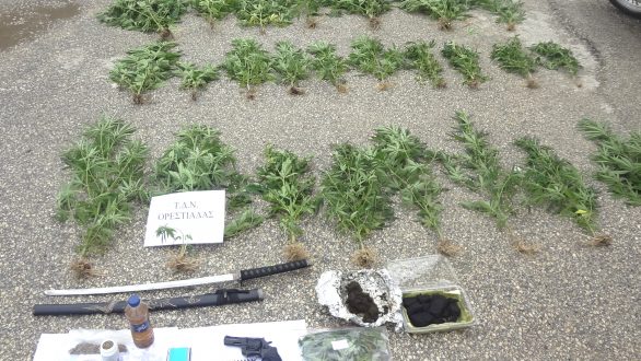 Συνελήφθη 54χρονος για ναρκωτικά και όπλα σε χωριό του Έβρου