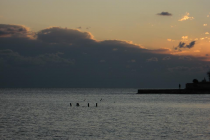 Στράτος Βραχιώλιας “Η επικοινωνία μας μέσα στις σχέσεις έχει να κάνει με το πώς μιλάμε…πώς ακούμε…πώς σωπαίνουμε…”