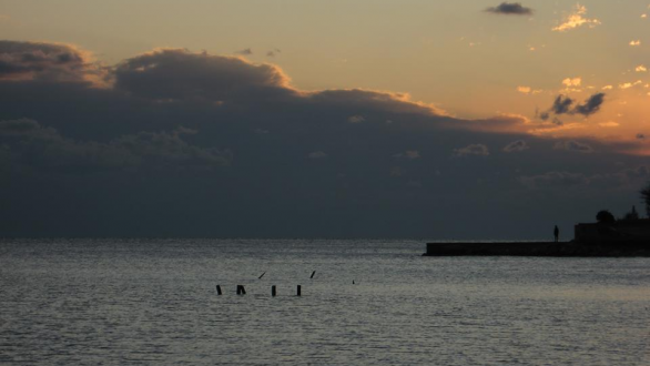 Στράτος Βραχιώλιας “Η επικοινωνία μας μέσα στις σχέσεις έχει να κάνει με το πώς μιλάμε…πώς ακούμε…πώς σωπαίνουμε…”