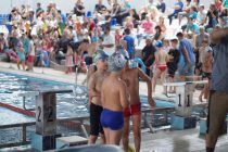 180 Δελφινάκια αγωνίστηκαν στο Φεστιβάλ Μικρών Κολυμβητών (Δελφινιών)