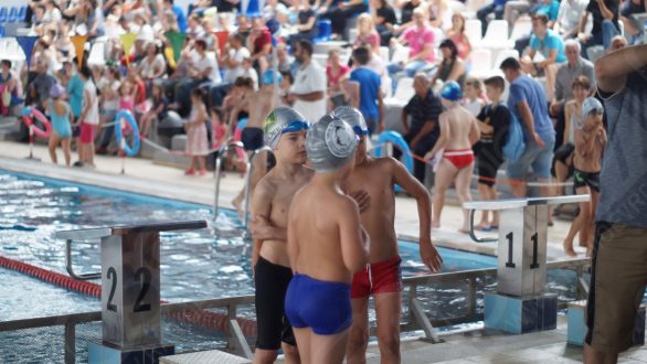 180 Δελφινάκια αγωνίστηκαν στο Φεστιβάλ Μικρών Κολυμβητών (Δελφινιών)