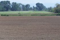 Εξοφλήθηκαν την περασμένη Παρασκευή και λίγο πριν τις κάλπες παραγωγοί και εργαζόμενοι στην Ελληνική Βιομηχανία Ζάχαρης