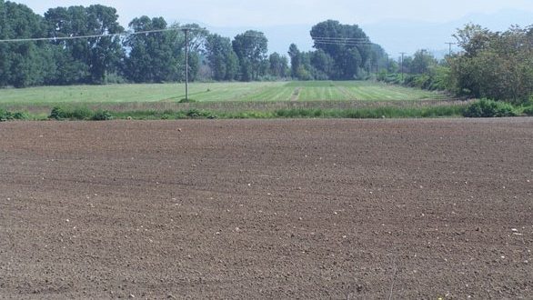 Εξοφλήθηκαν την περασμένη Παρασκευή και λίγο πριν τις κάλπες παραγωγοί και εργαζόμενοι στην Ελληνική Βιομηχανία Ζάχαρης