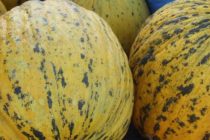 Πεπόνι: Ο γλυκός σύμμαχος της υγείας μας