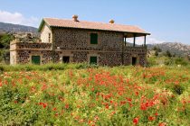 «Ανοίγει» ο δρόμος για τη δυναμική ανάπτυξη του αγροτουρισμού στην Ελλάδα