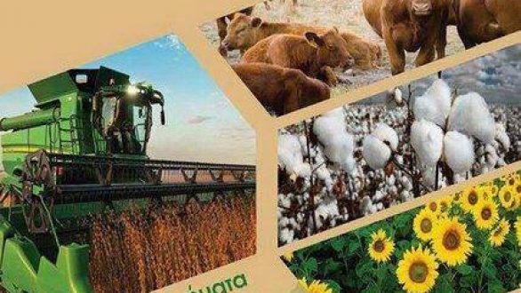 Κάλεσμα συμμετοχής στην Πανέβρια Αγροτική Έκθεση Φερών