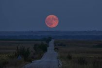 Το τραγούδι της εβδομάδας