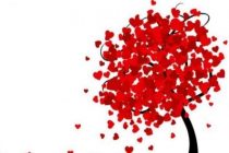 Από την Αλεξανδρούπολη θα ξεκινήσει η ποδηλατοδρομία για την εθελοντική αιμοδοσία