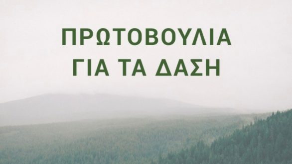 «Πρωτοβουλία για τα Δάση»: Ανοιχτή επιστολή προς τη πολιτική ηγεσία για την προστασία των δασών
