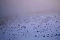 Έπεσαν τα πρώτα χιόνια στον Όλυμπο