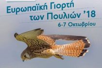 Ευρωπαϊκή Γιορτή των Πουλιών 2018 στο Δάσος Δαδιάς