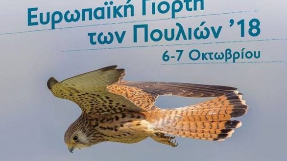 Ευρωπαϊκή Γιορτή των Πουλιών 2018 στο Δάσος Δαδιάς