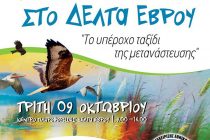 «Ευρωπαϊκή Γιορτή των Πουλιών 2018» στο Δέλτα του Έβρου!