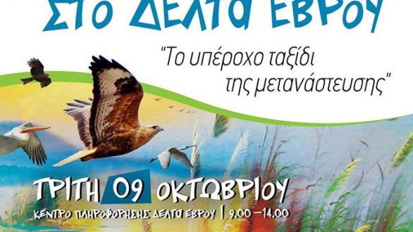 «Ευρωπαϊκή Γιορτή των Πουλιών 2018» στο Δέλτα του Έβρου!