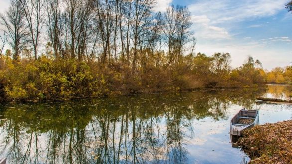 Το τραγούδι της εβδομάδας
