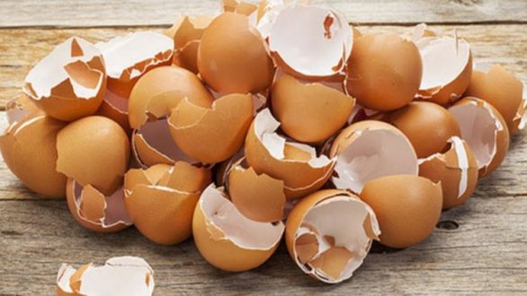 Τσόφλια αυγού για το τηγάνι!