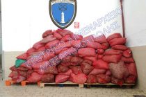 Τρεις τόνοι ακατάλληλα όστρακα κατασχέθηκαν στην Αλεξανδρούπολη