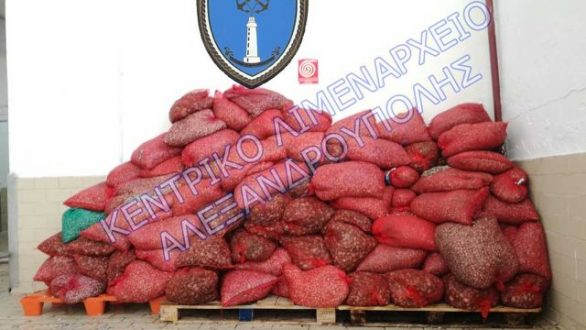 Τρεις τόνοι ακατάλληλα όστρακα κατασχέθηκαν στην Αλεξανδρούπολη