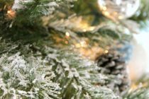 Ο πιο απλός τρόπος για να φτιάξετε μόνοι σας ένα χιονισμένο δέντρο