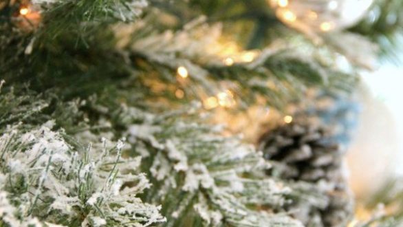 Ο πιο απλός τρόπος για να φτιάξετε μόνοι σας ένα χιονισμένο δέντρο