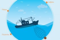 Το πρόγραμμα “Συμμαχία για Συμβίωση” στην ακριτική Αλεξανδρούπολη