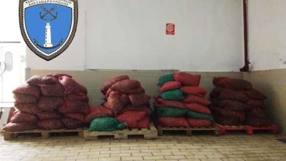 Δύο περίπου τόνοι ακατάλληλα όστρακα κατασχέθηκαν στην Αλεξανδρούπολη