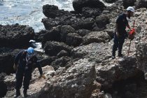 Νεότερες εξελίξεις στο θρίλερ της φοιτήτριας από το Διδυμότειχο που βρέθηκε δολοφονημένη στη Ρόδο