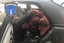 801 κιλά όστρακα ακατάλληλα για κατανάλωση κατασχέθηκαν στην Αλεξανδρούπολη