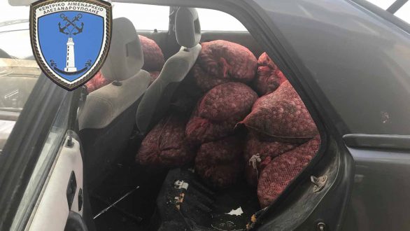 801 κιλά όστρακα ακατάλληλα για κατανάλωση κατασχέθηκαν στην Αλεξανδρούπολη