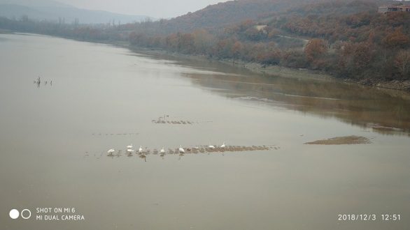 Το τραγούδι της εβδομάδας