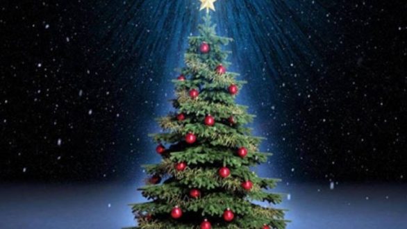 Φωταγώγηση Χριστουγεννιάτικου δέντρου στη Νέα Βύσσα