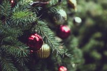 Φωταγώγηση του Χριστουγεννιάτικου δέντρου στο Θούριο Ορεστιάδας