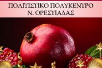 Ορεστιάδα: Παρουσίαση του βιβλίου “Ρόδινη ζωή” της Ι. Παρασχάκη