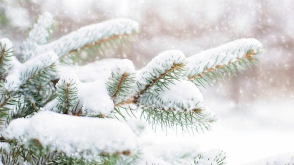 Ο καιρός τα Χριστούγεννα: Επιδείνωση του καιρού με χιόνια και στα ημιορεινά