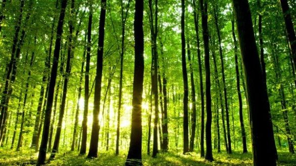 Νέες προσλήψεις στους Φορείς Διαχείρισης Προστατευόμενων Περιοχών – Natura