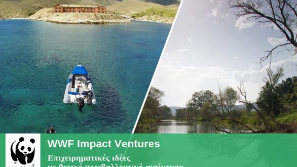 Σουφλί: Πρόγραμμα τις WWF προσφέρει επιχειρηματικές ευκαιρίες με θετικό περιβαλλοντικό αντίκτυπο
