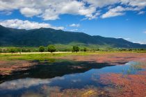 Εγκρίθηκε η σύναψη προγραμματικής σύμβασης για παρεμβάσεις στη λίμνη Κερκίνη