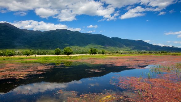 Εγκρίθηκε η σύναψη προγραμματικής σύμβασης για παρεμβάσεις στη λίμνη Κερκίνη