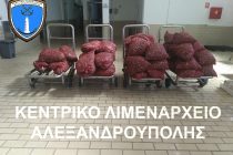 1.253 κιλά ακατάλληλα όστρακα κατασχέθηκαν στην Αλεξανδρούπολη