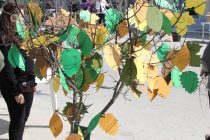 Παγκόσμια Ημέρα Δασοπονίας «Γνωρίζω και αγαπώ το Δάσος»