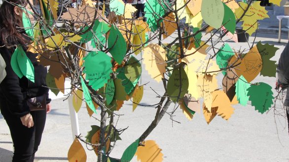 Παγκόσμια Ημέρα Δασοπονίας «Γνωρίζω και αγαπώ το Δάσος»