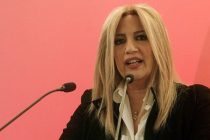 Φώφη Γεννηματά από τον Έβρο: «Δεν παραχωρούμε τίποτα και δεν διεκδικούμε τίποτα»